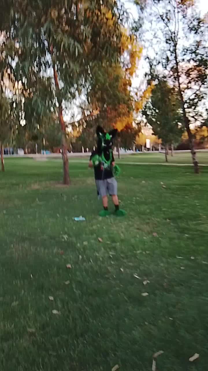 @baltowolf