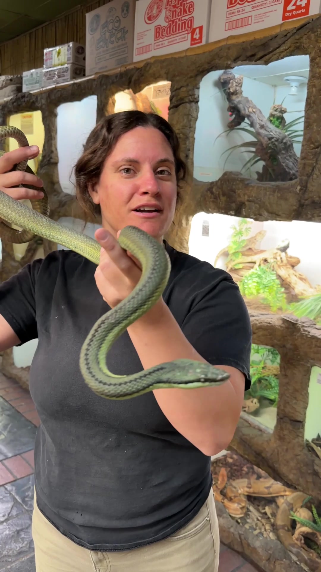 @The Reptile Zoo
