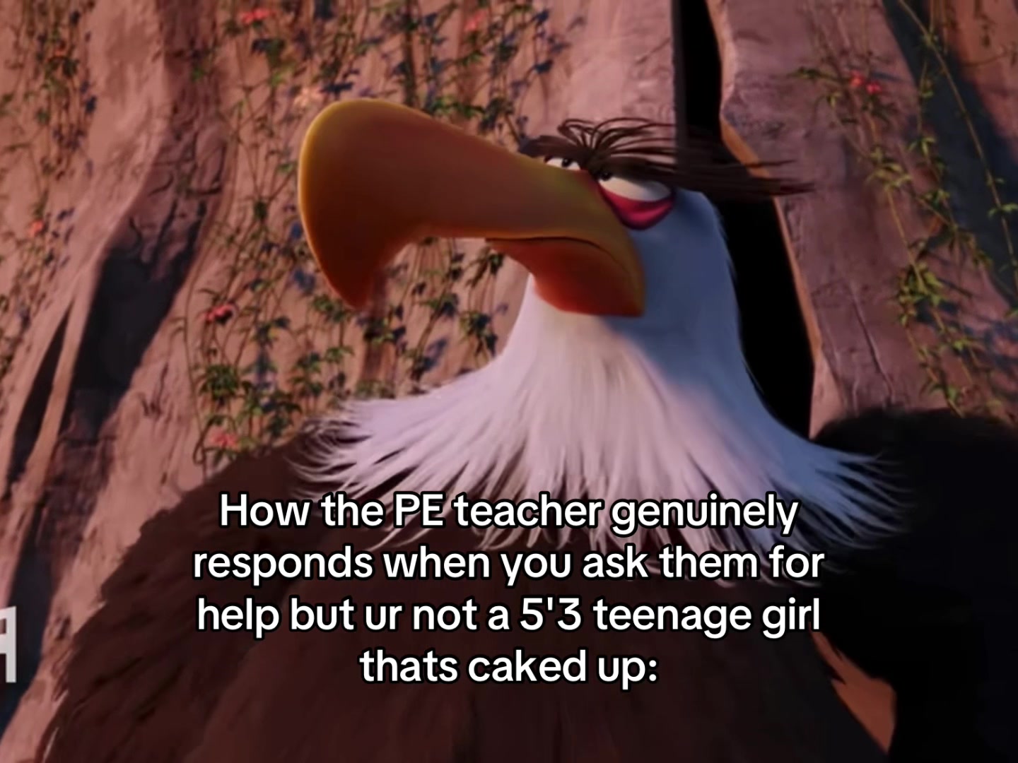 @David baker