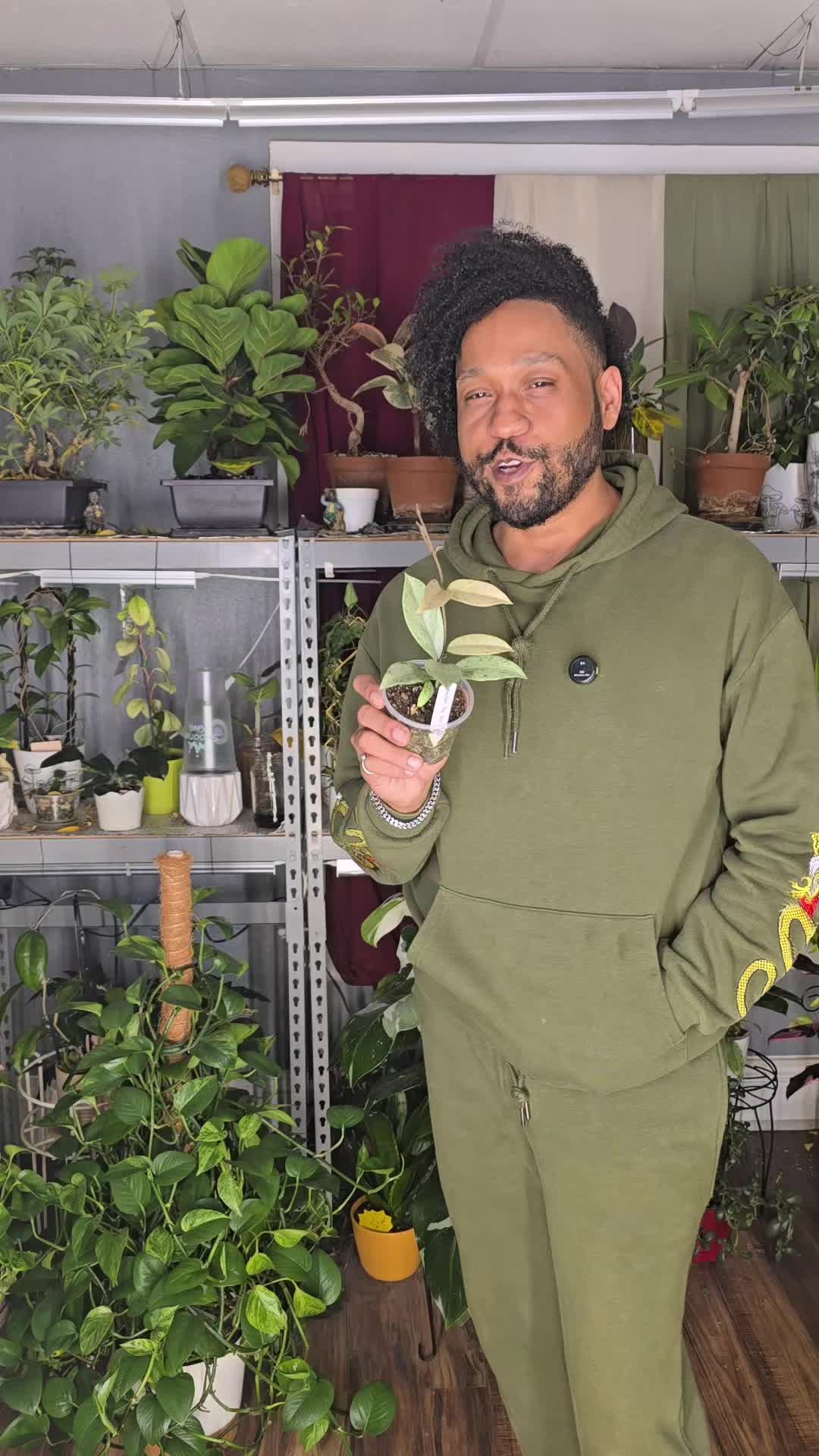 @JT - BigEGOPlants