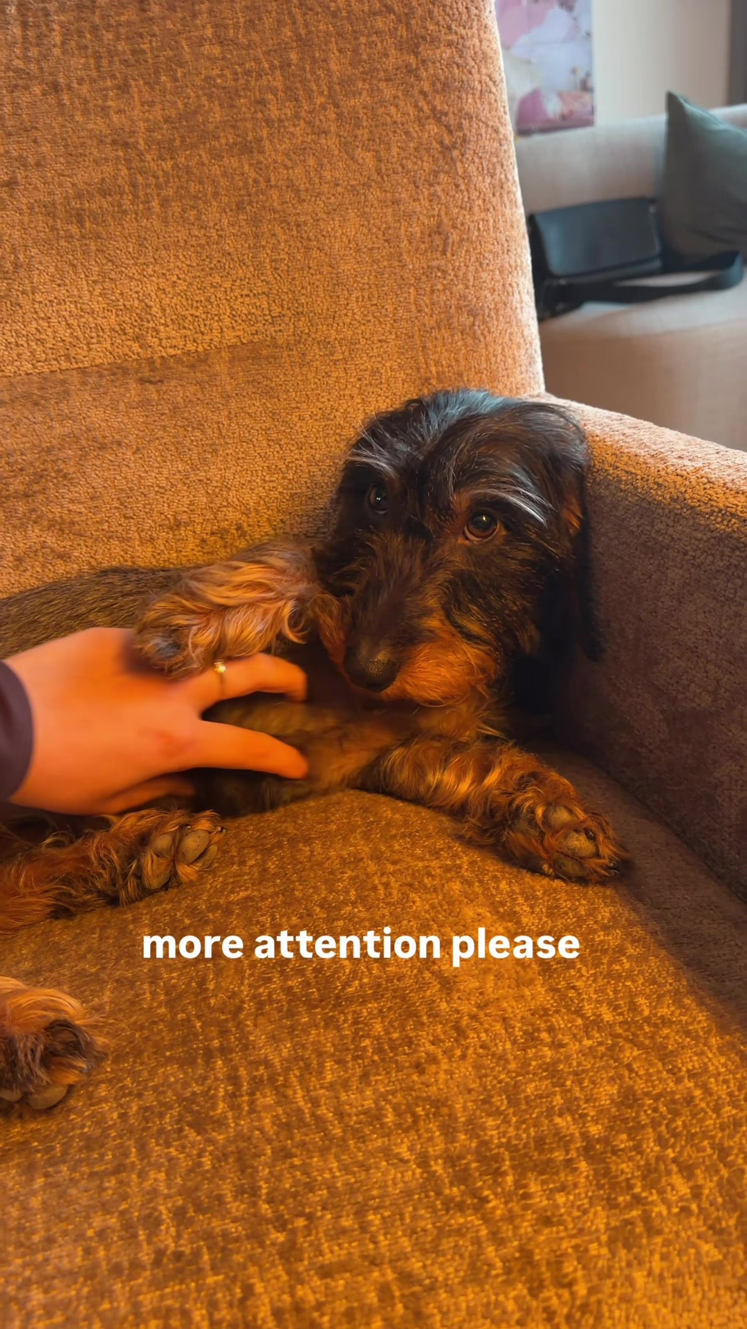 @lifeoflunabowie
