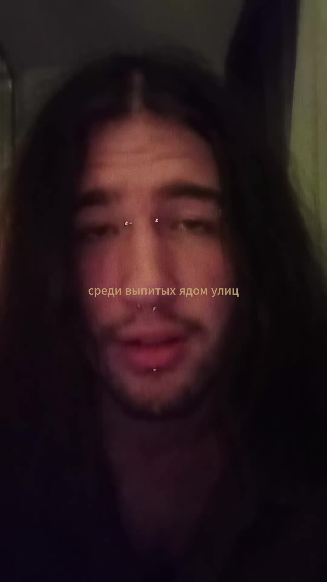 @тыща бродячих собак