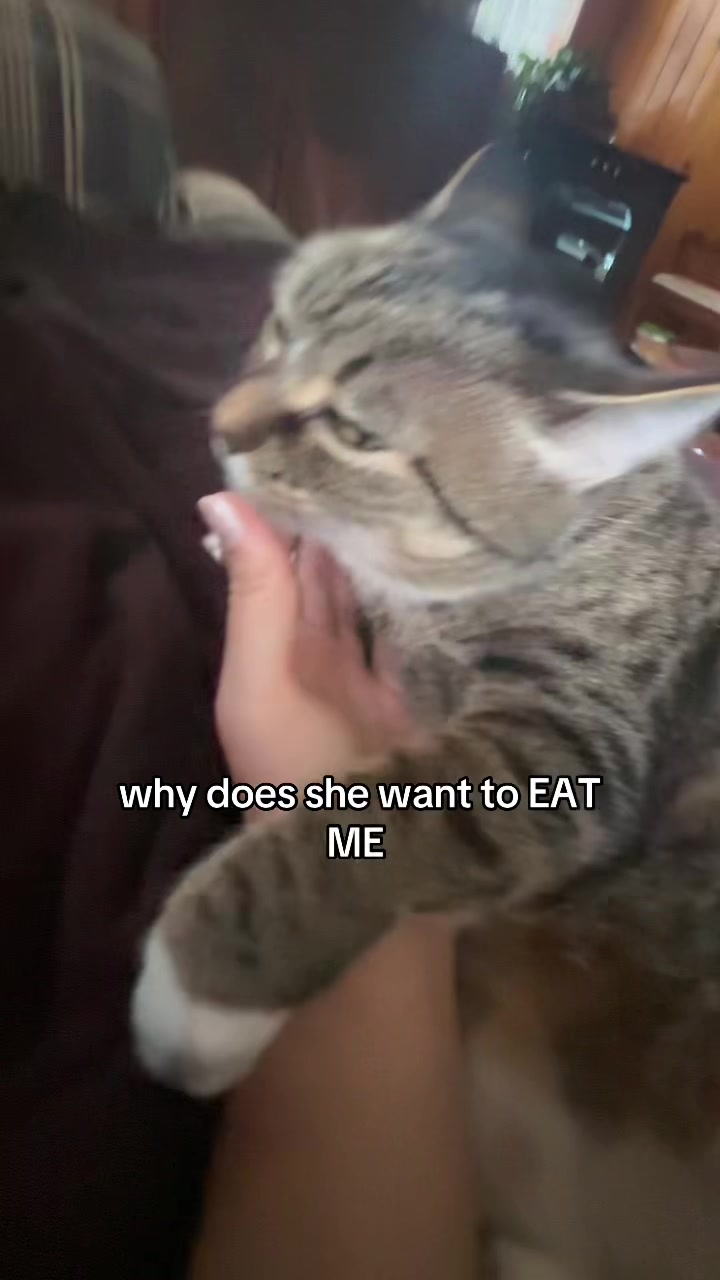 @keira