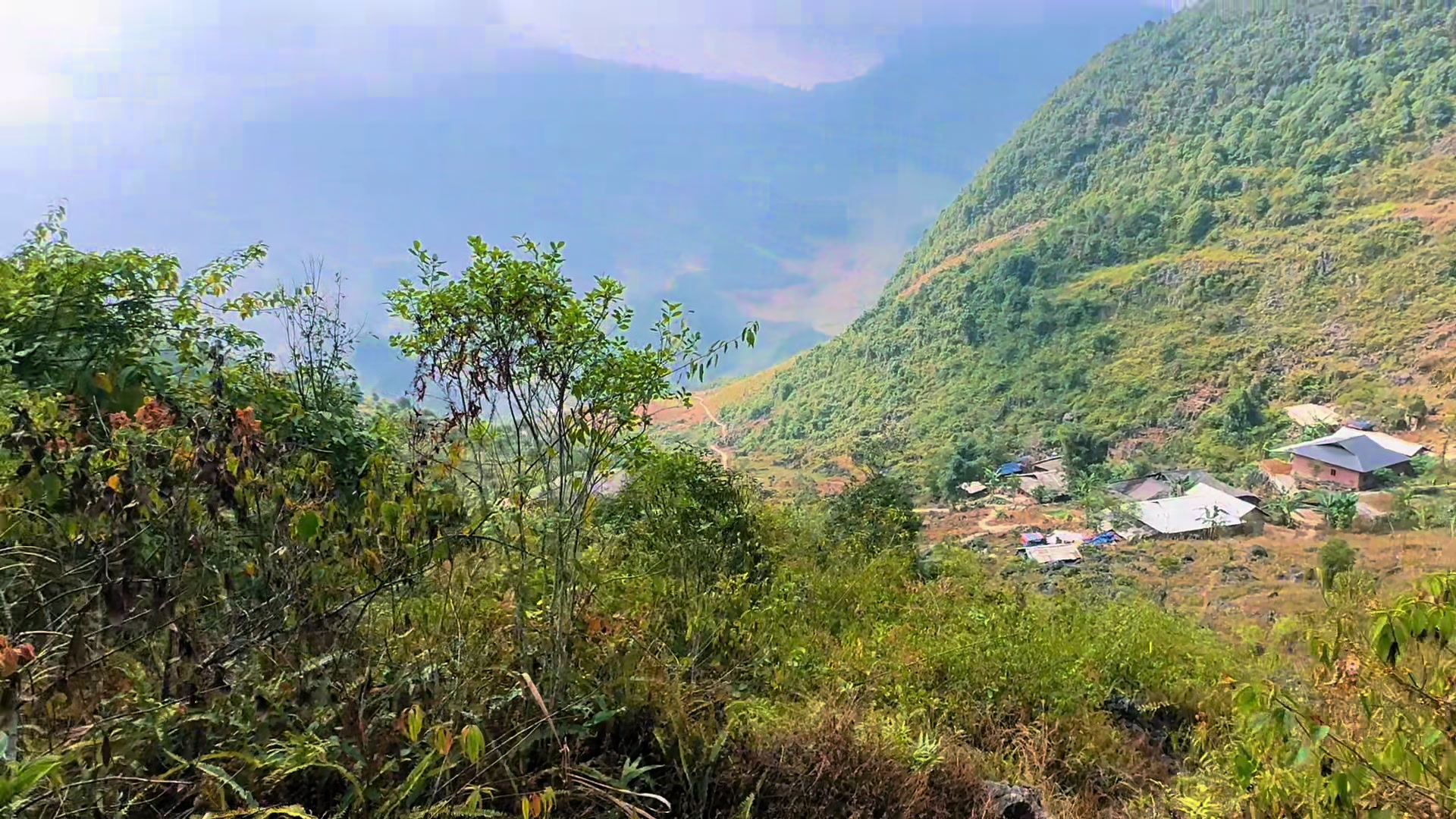 @LÍU 🇻🇳☣️
