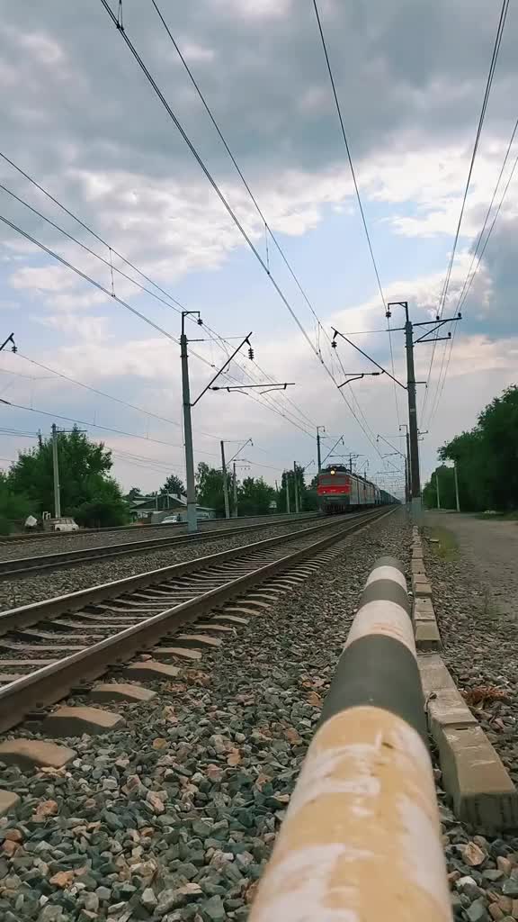 @ПСЫЖ_НАСТОЯЩИ
