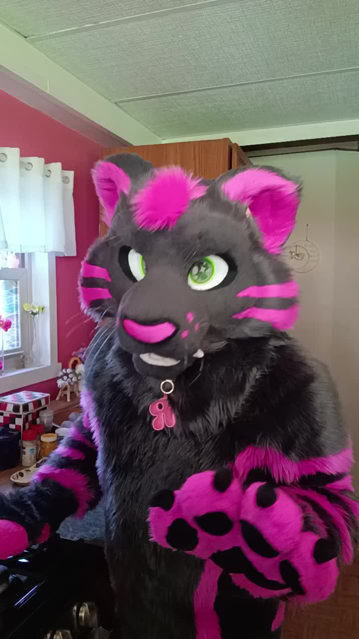 @dingbat 🐾 mew,mew 🐾 🔜 AC26