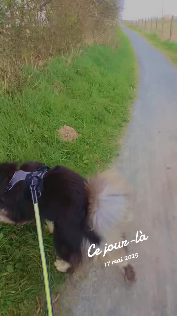 @฿Ⱡ₳₵₭₣łⱤɆ🔥🇫🇷