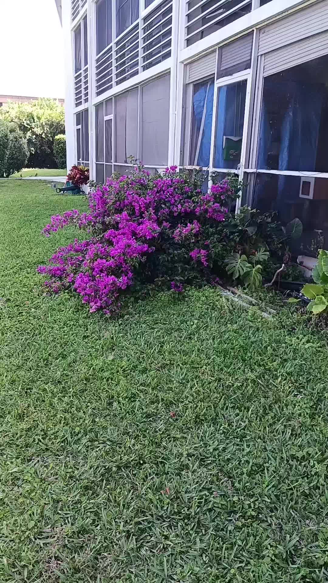 @Maria Aguilar