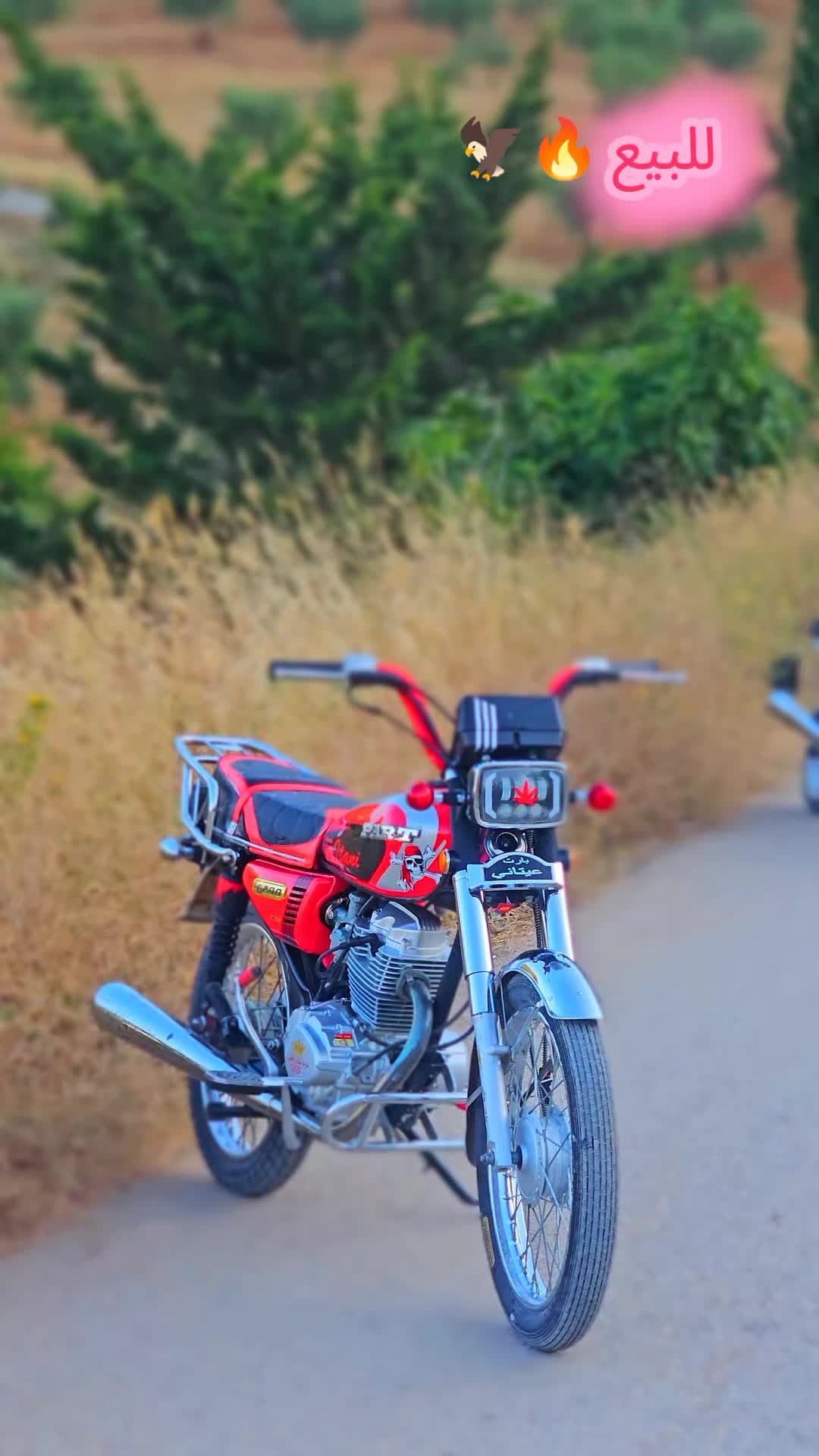 @ابن كردستان✨❤️🌞💚✨