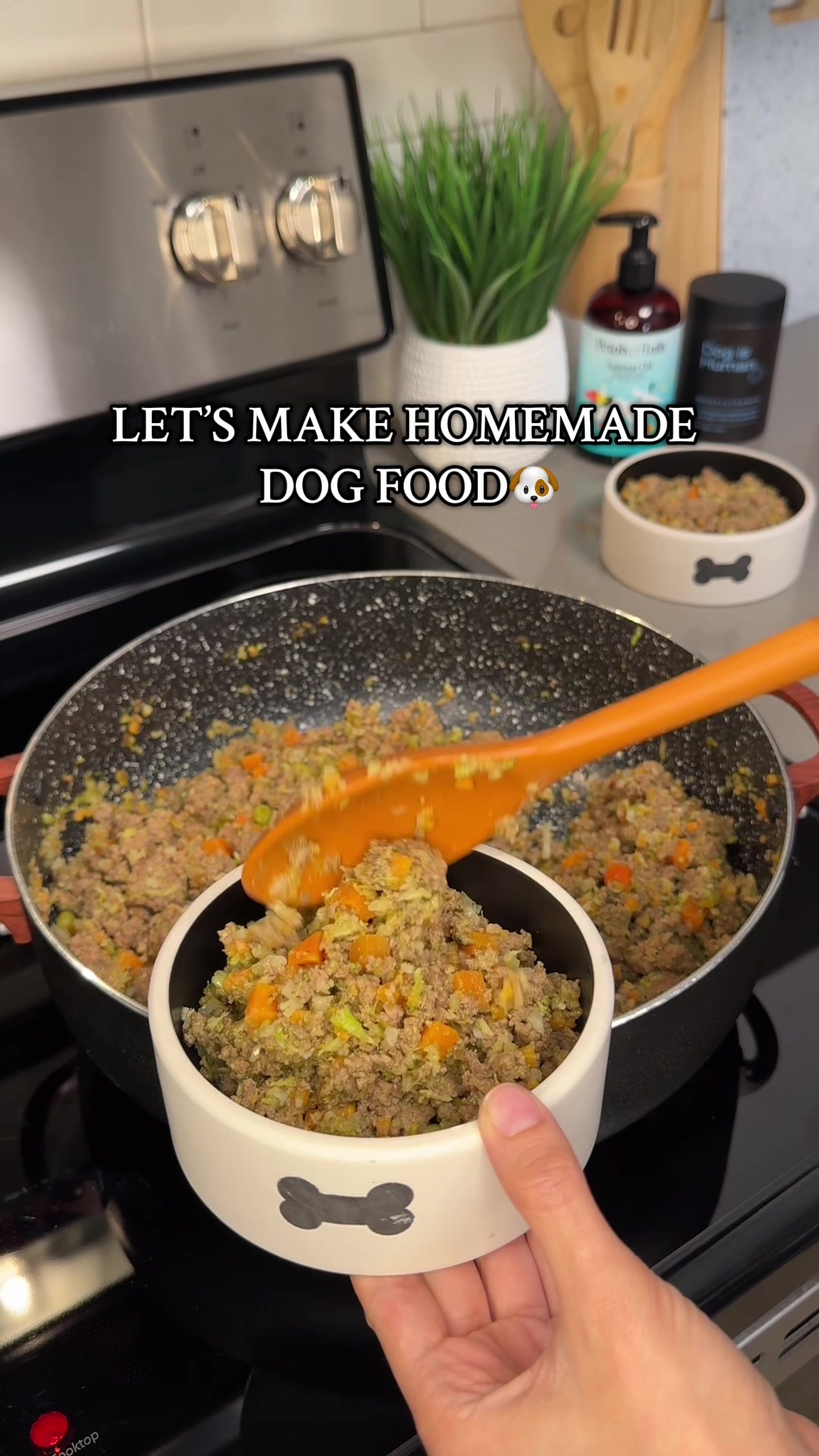@Daily Dog Bites