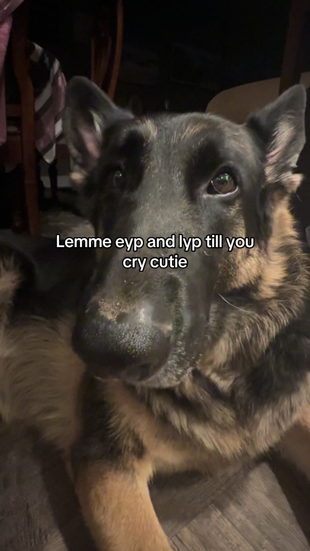 @Bhris