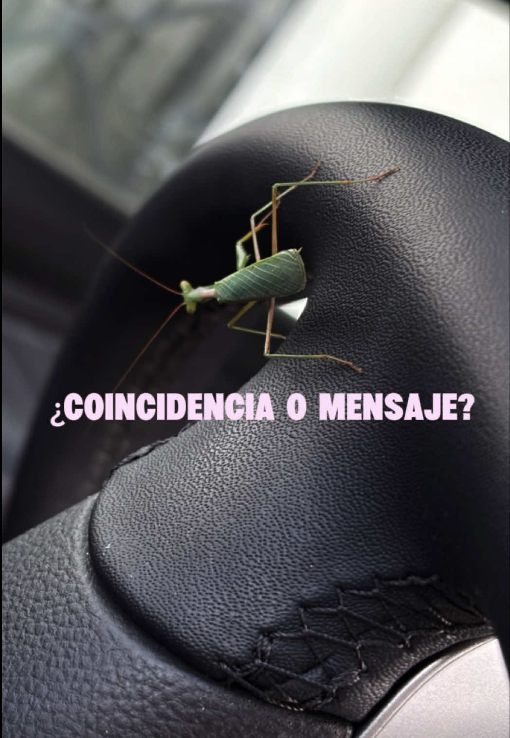 @castings_usa_sin_agencia