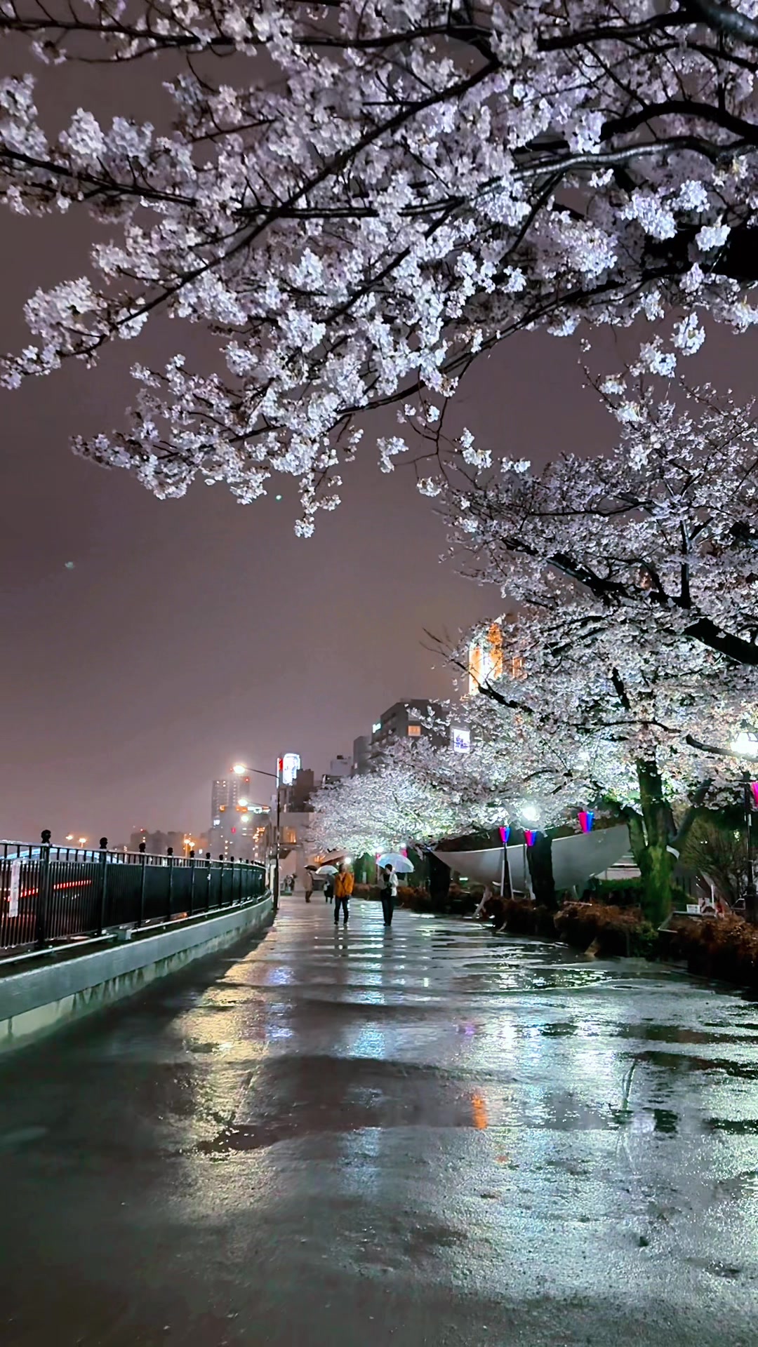 @Kavin Madhushanka 🇯🇵