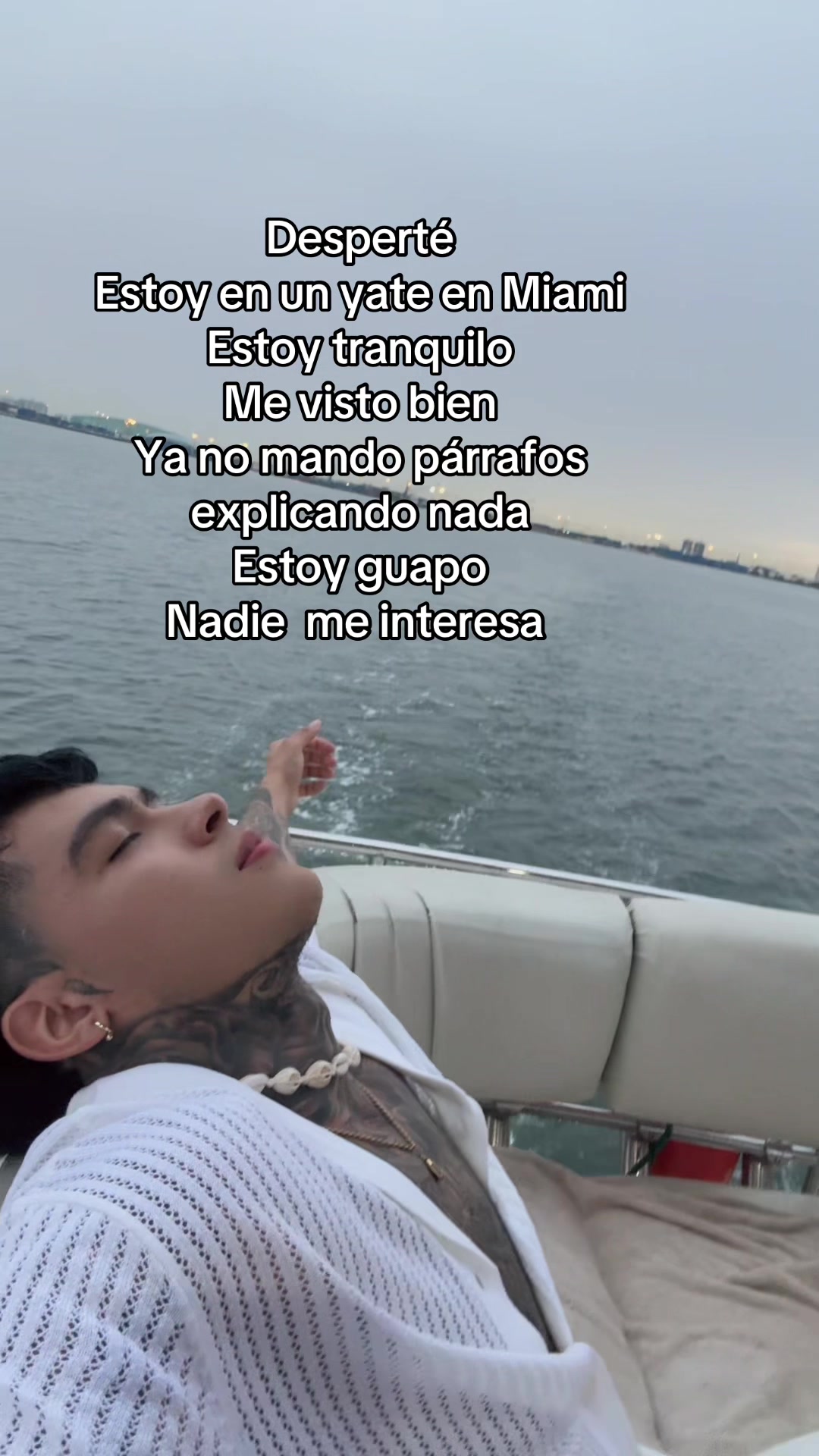 @palomino🦁