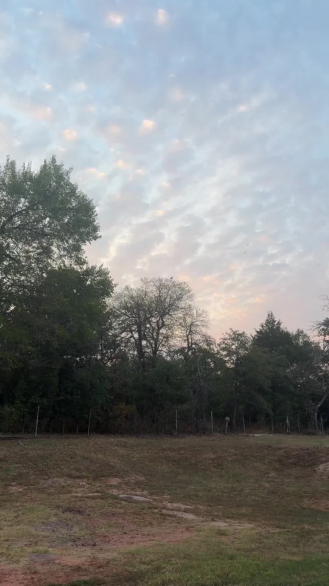 @Dogmansshadow