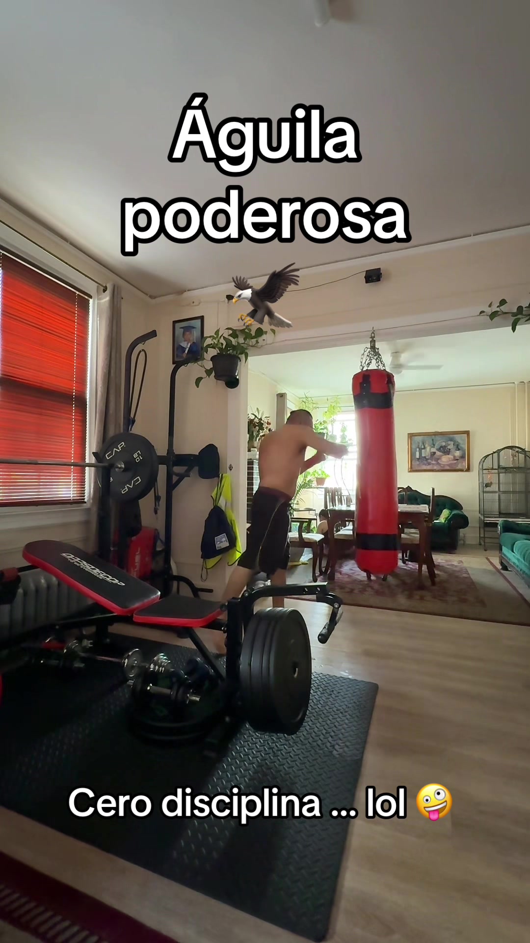 @Águila poderosa 🦅