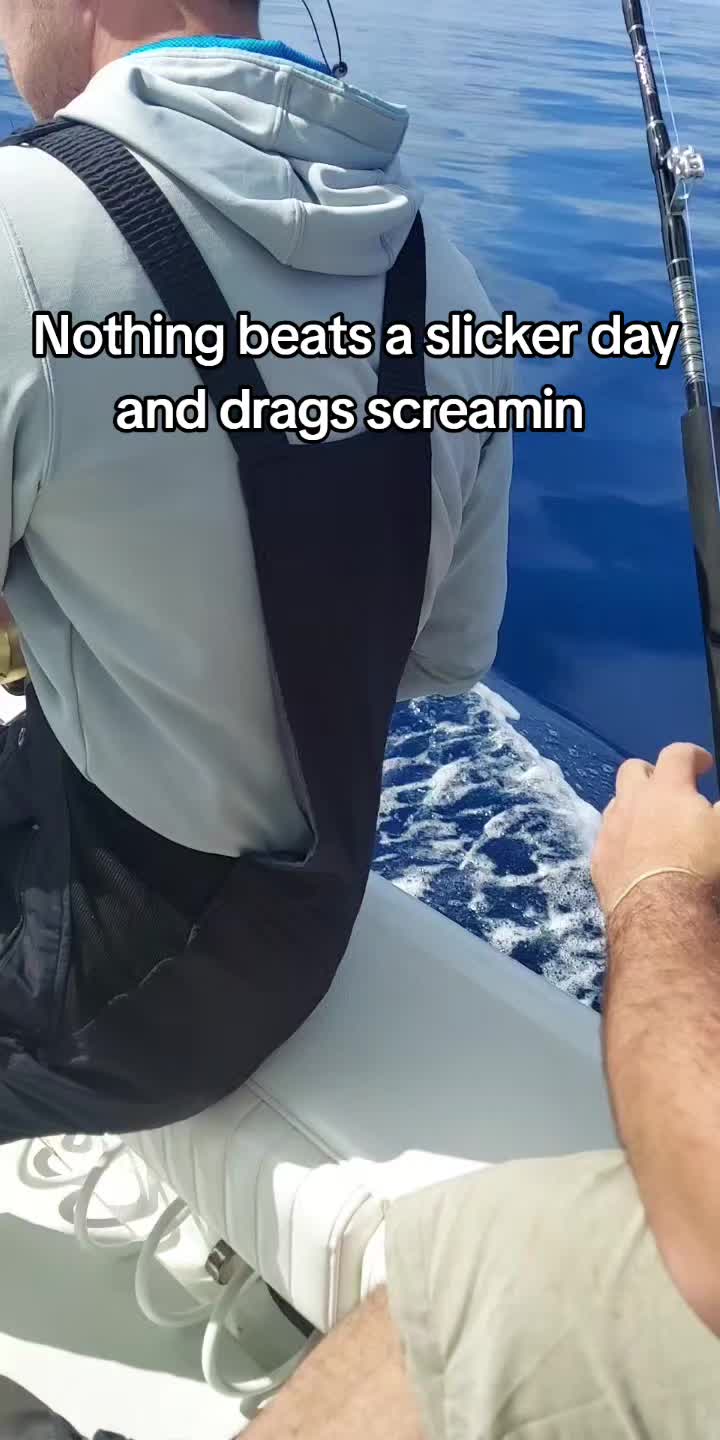 @dariff.70