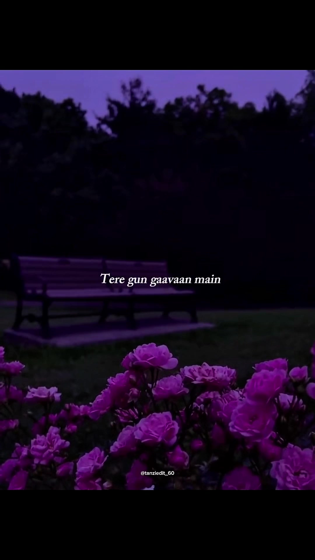 @Tanzi