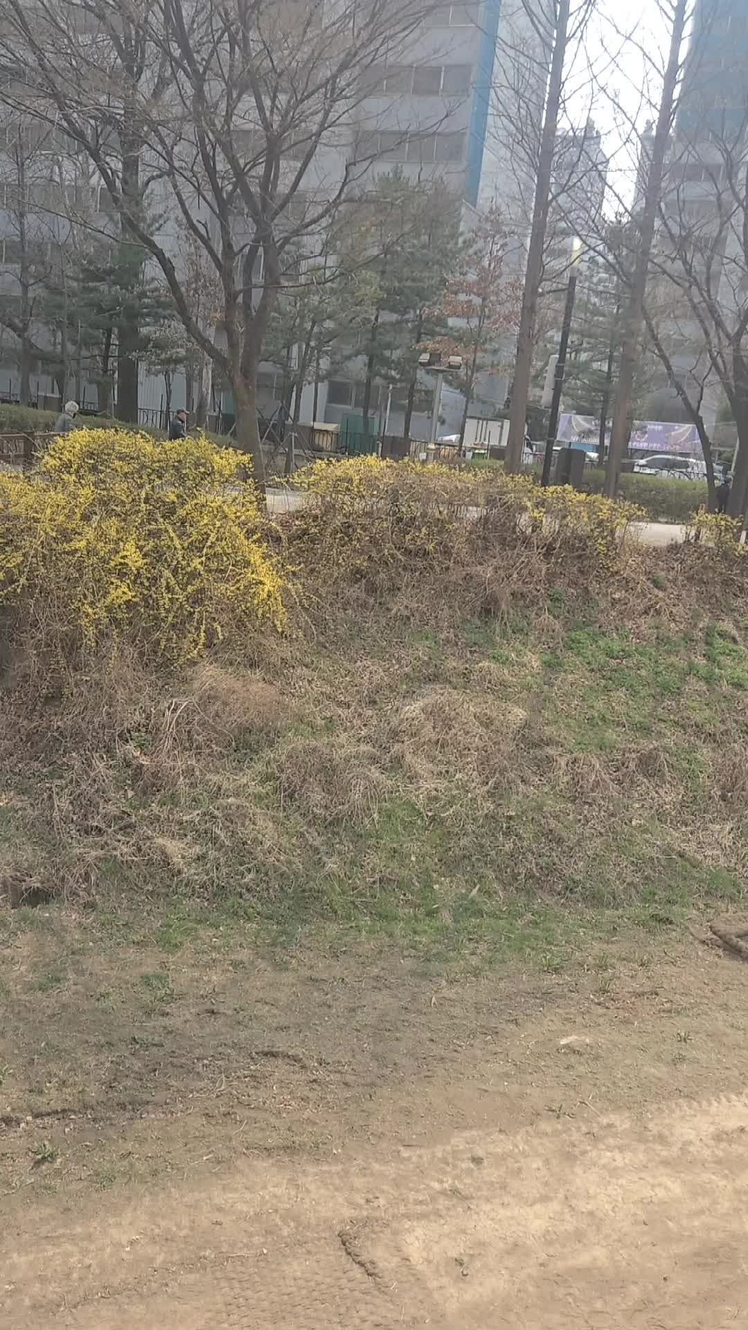 @귀현이