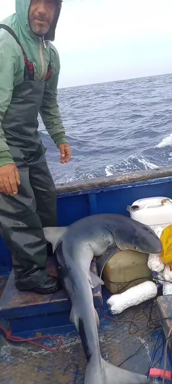 @🛳️hàmìdø⚓⚡Ræysë🐬🏴☠️