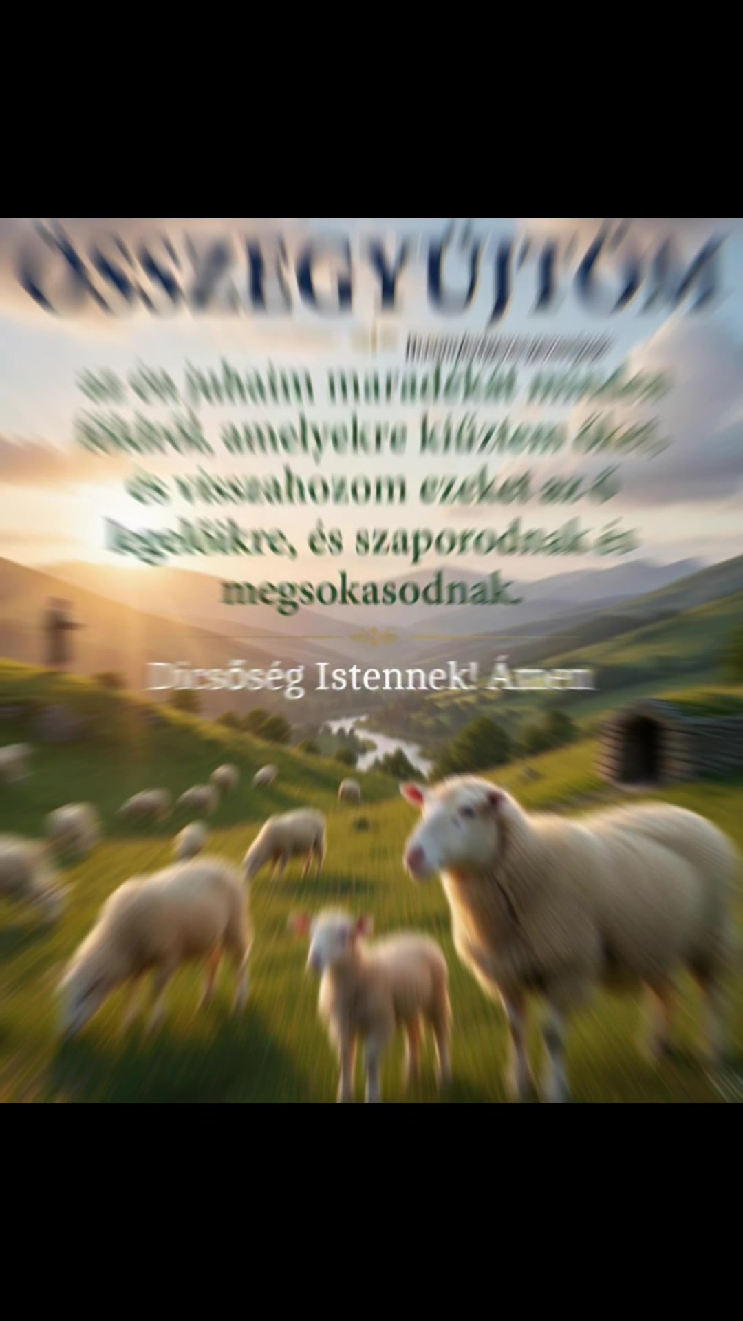 @Mónika Erős