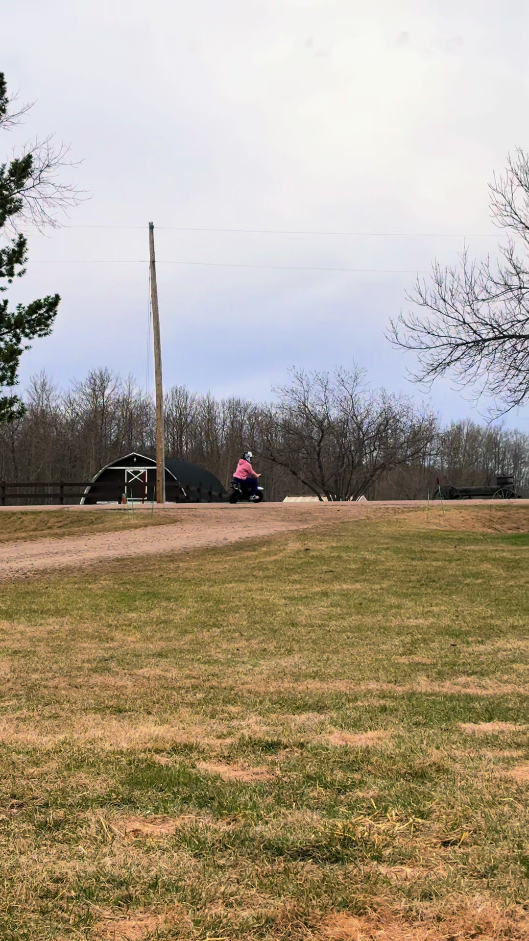 @Ferally Fowl Farmstead