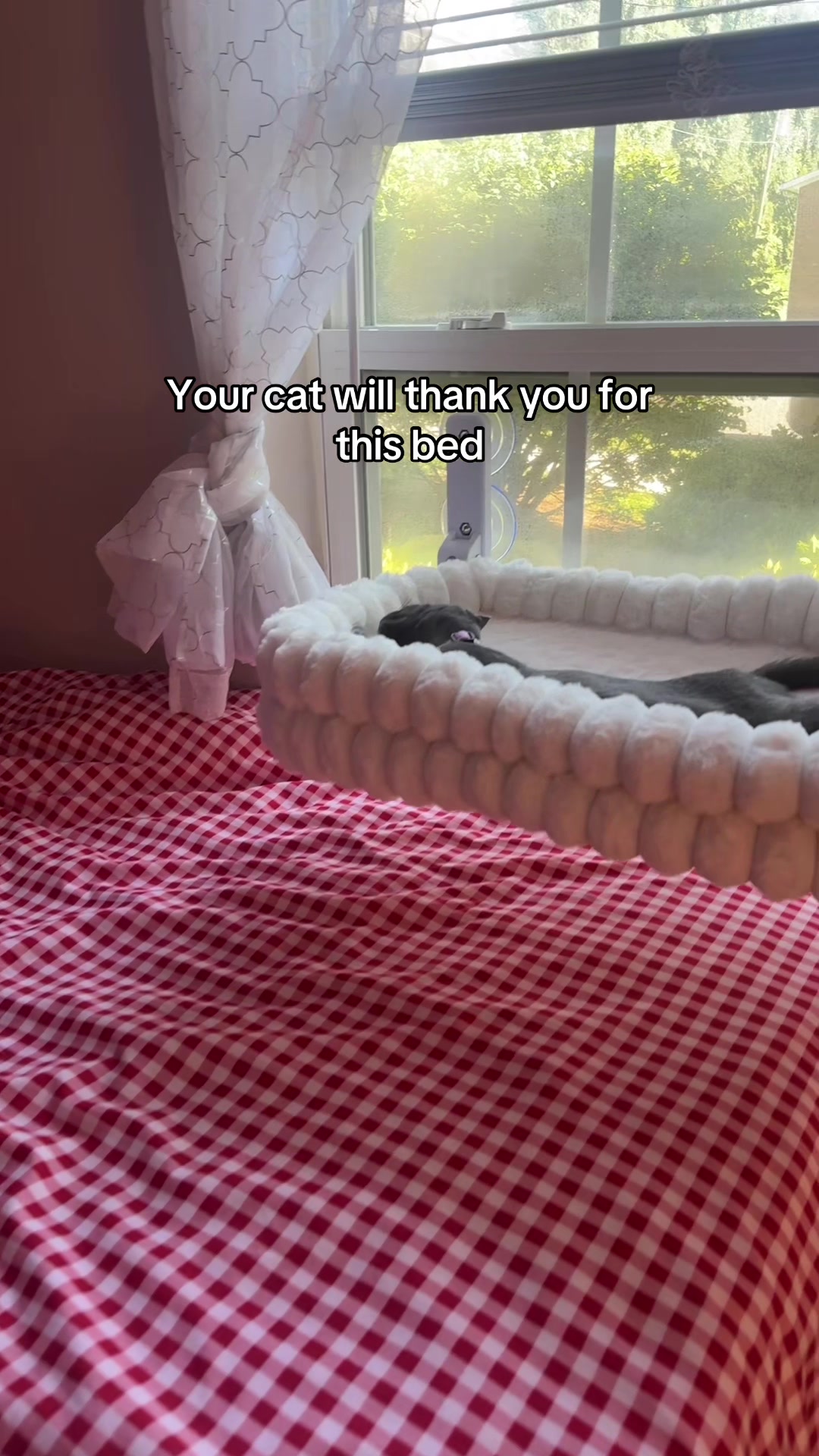 @Shanaya ❤︎