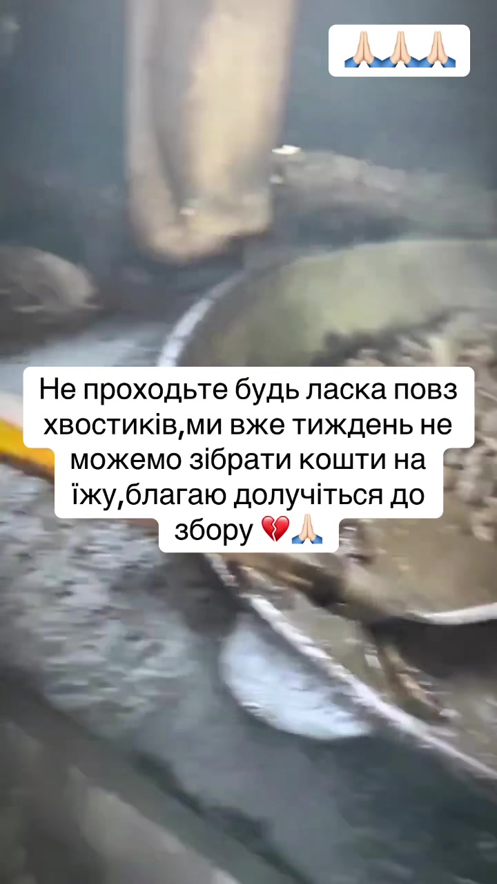 @kvitochki222
