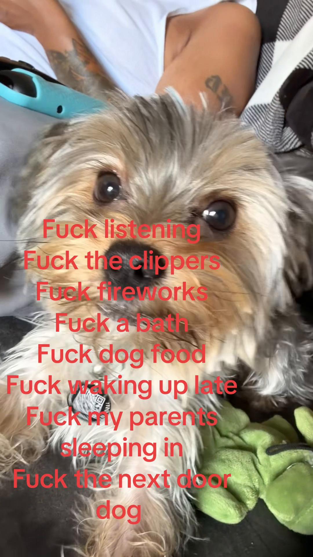 @Patricia Scott