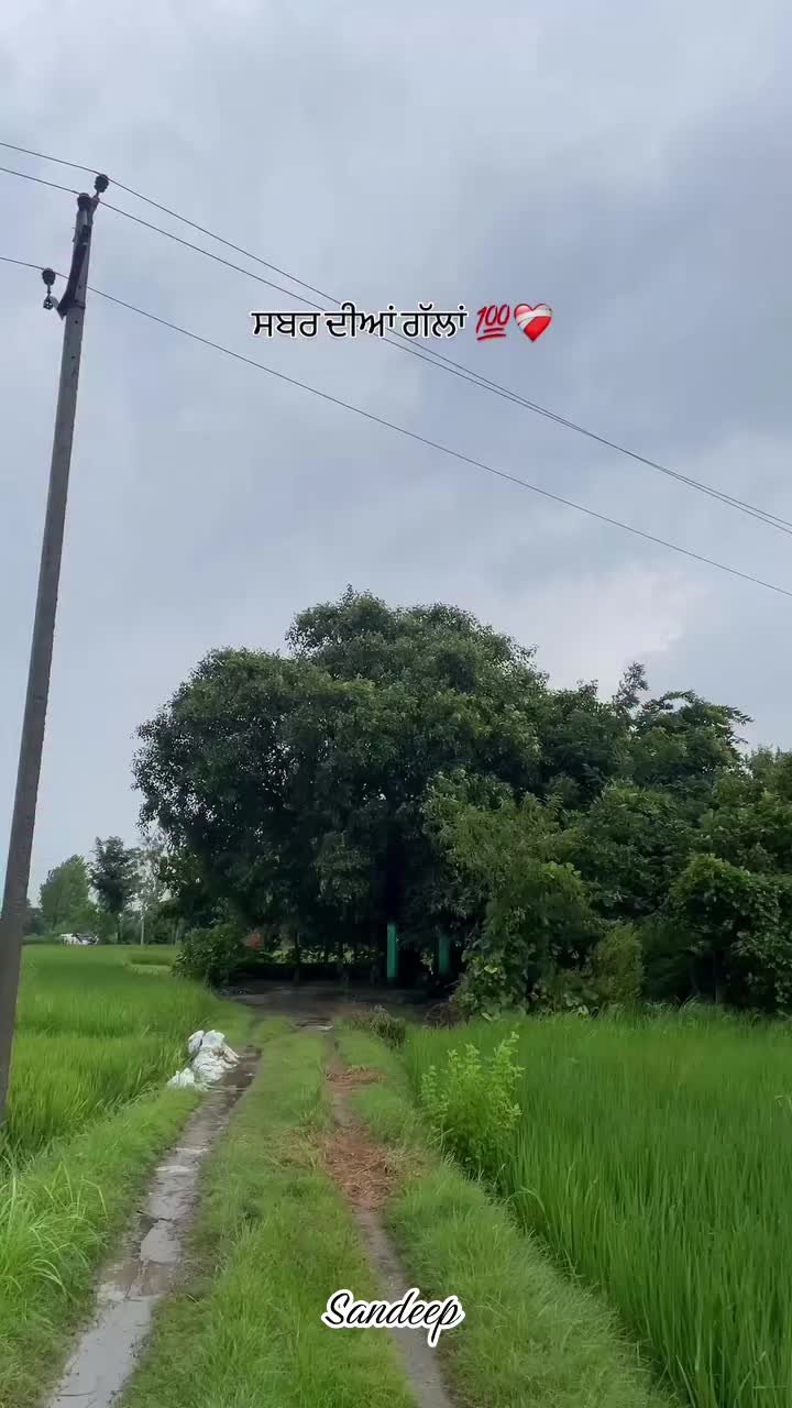 @Sdeep_2022