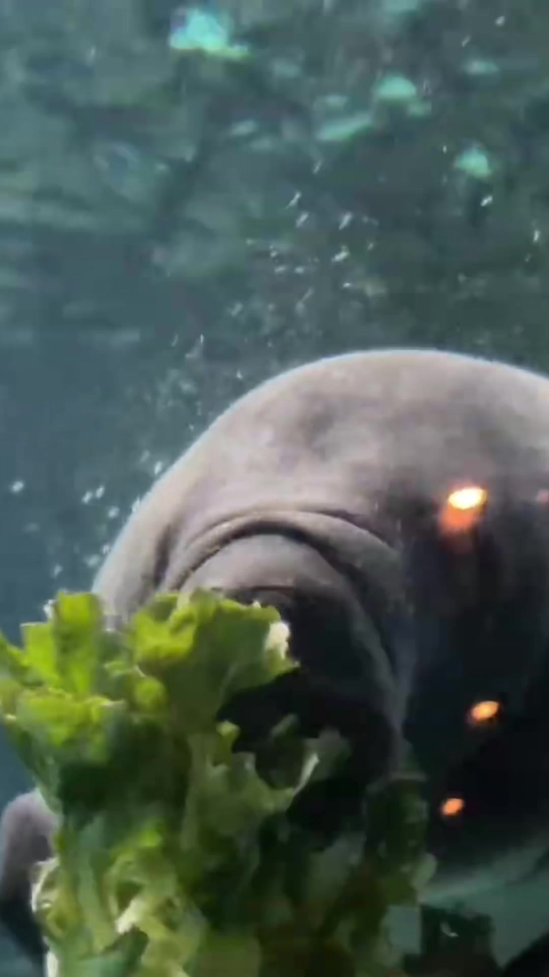 @Cincinnati Zoo