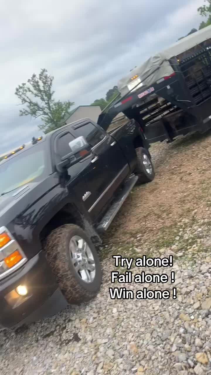 @tripleclivestock