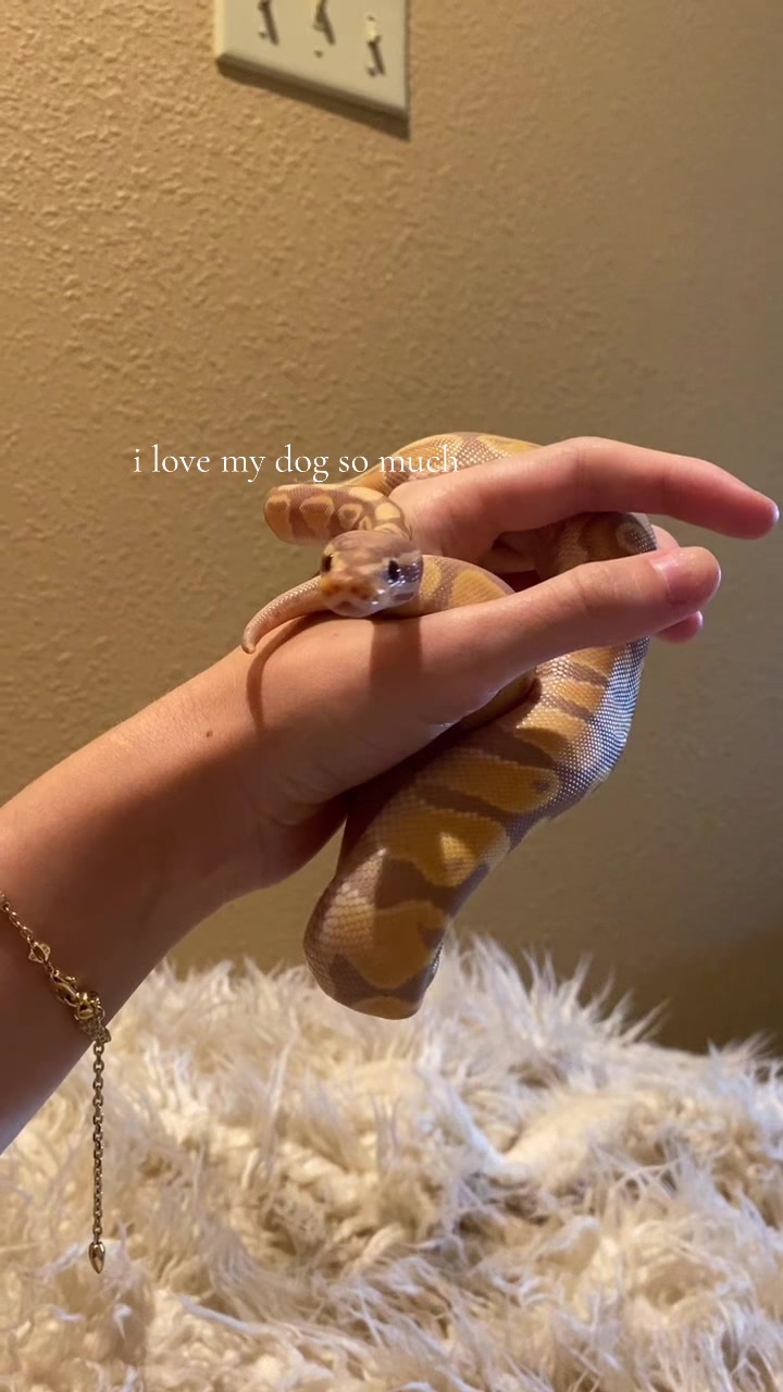 @Holly Jean