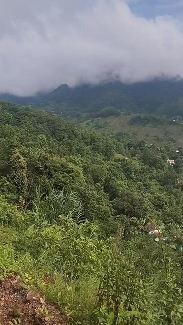 @संस्कृति