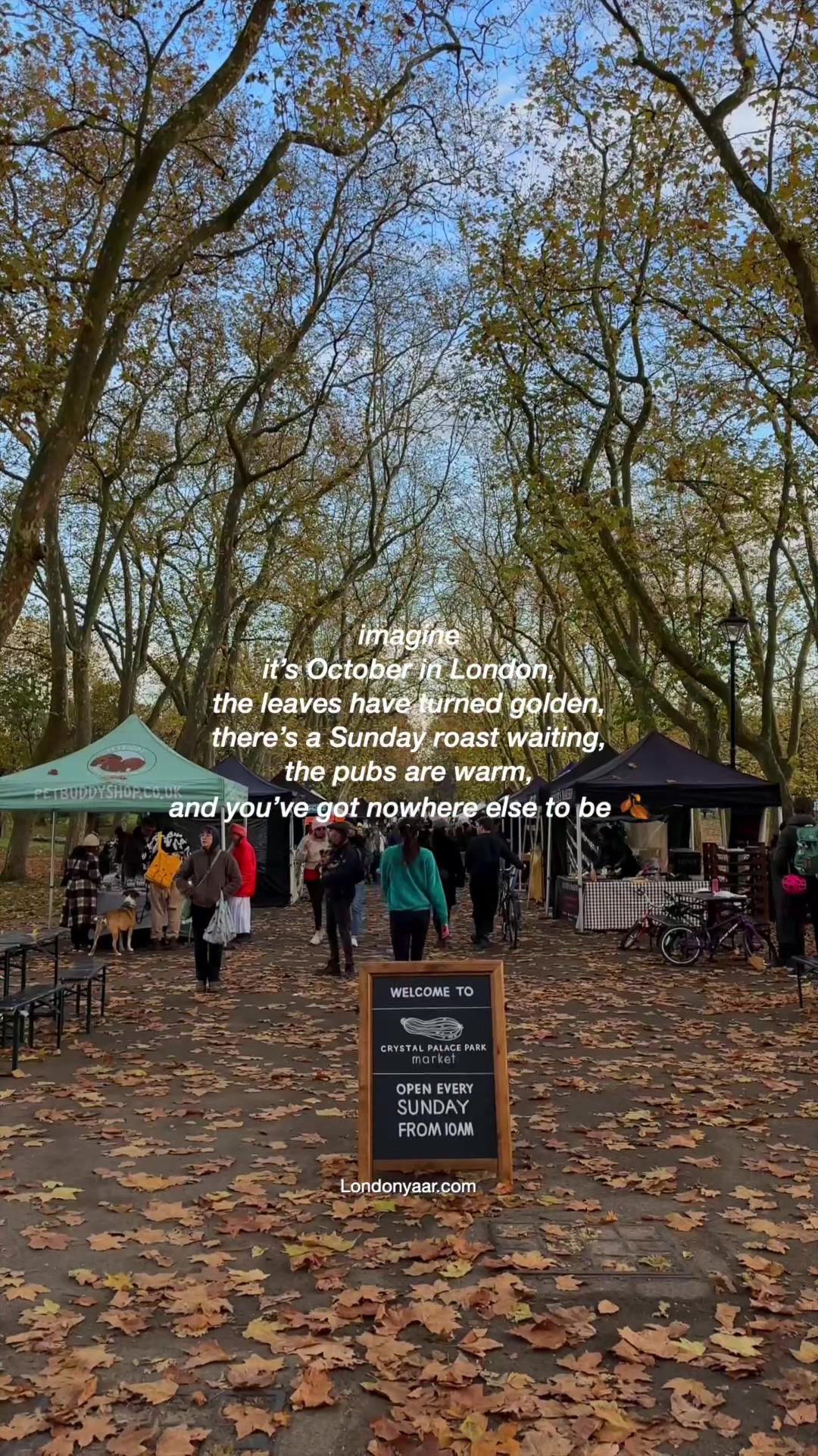 @rohan.londonyaar