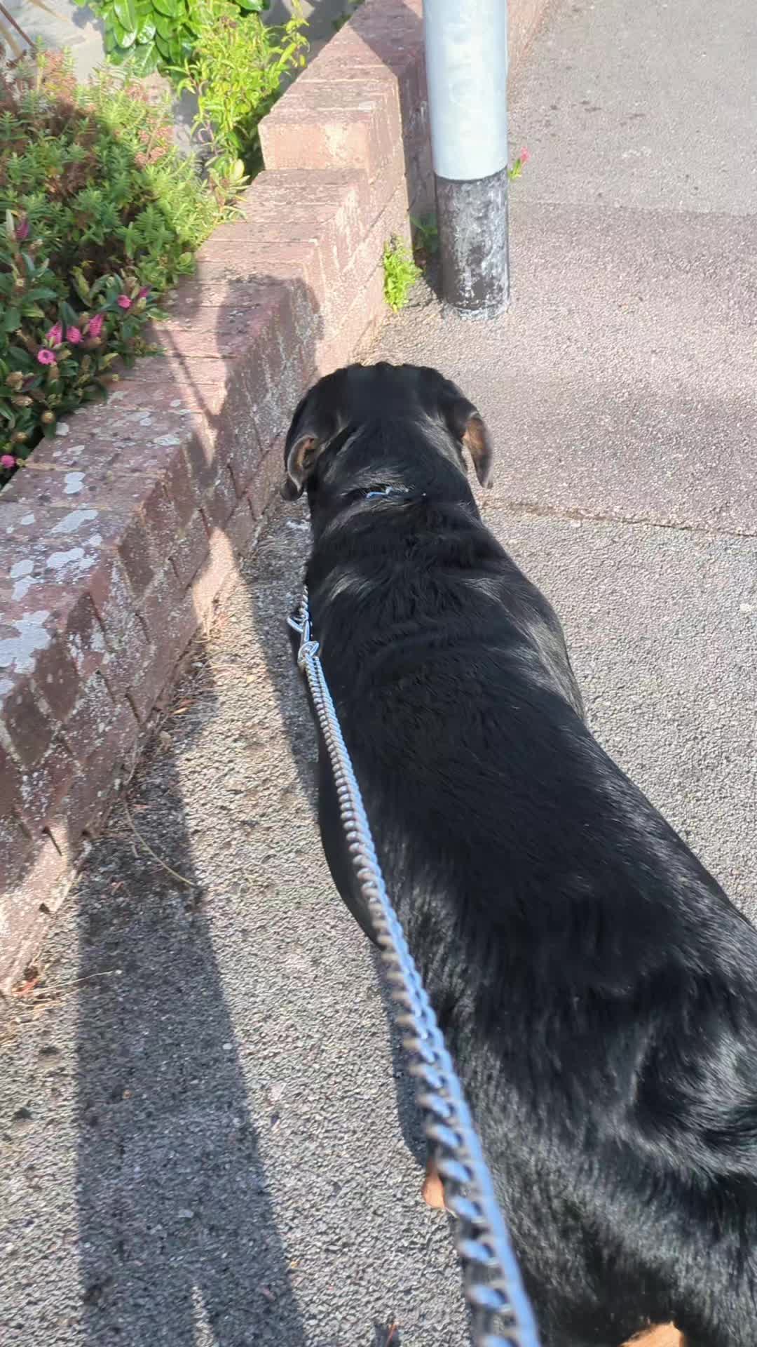 @Jay