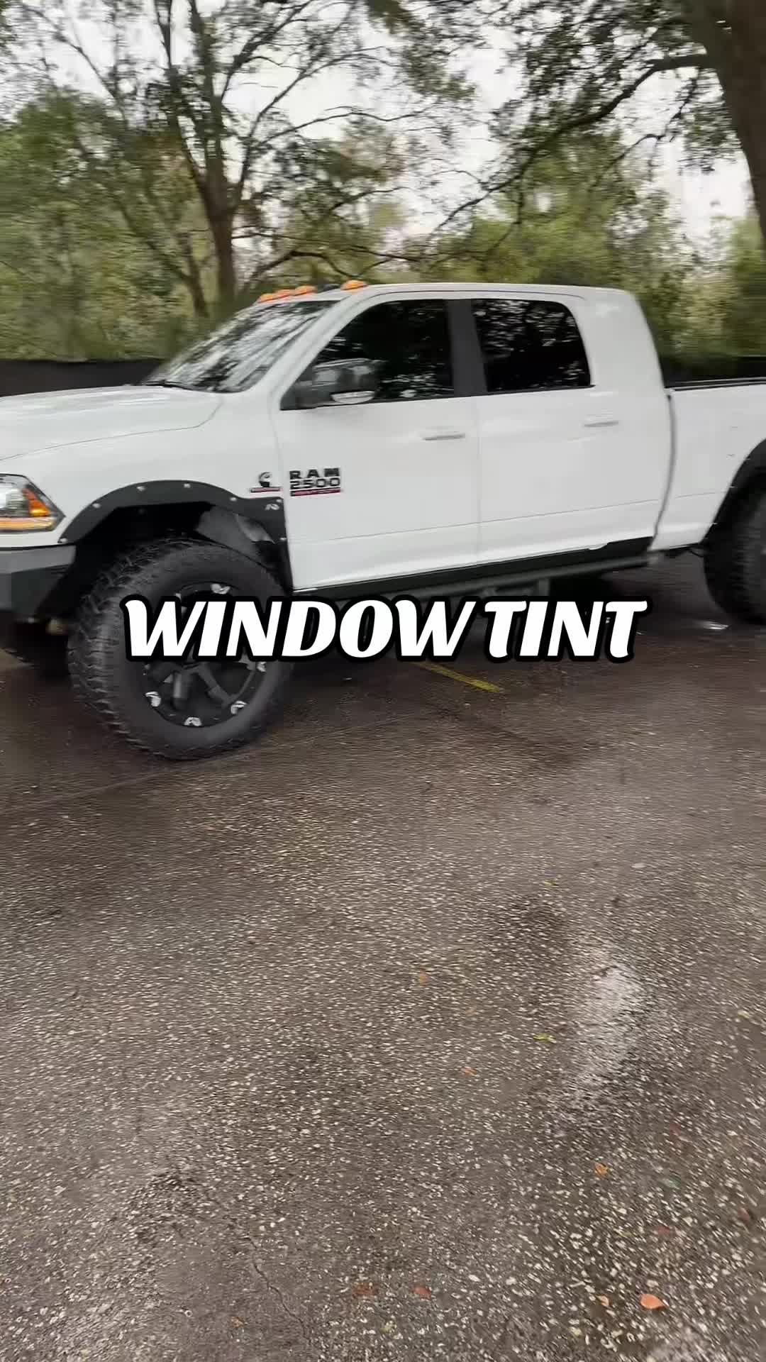 @hds_tint_orlando