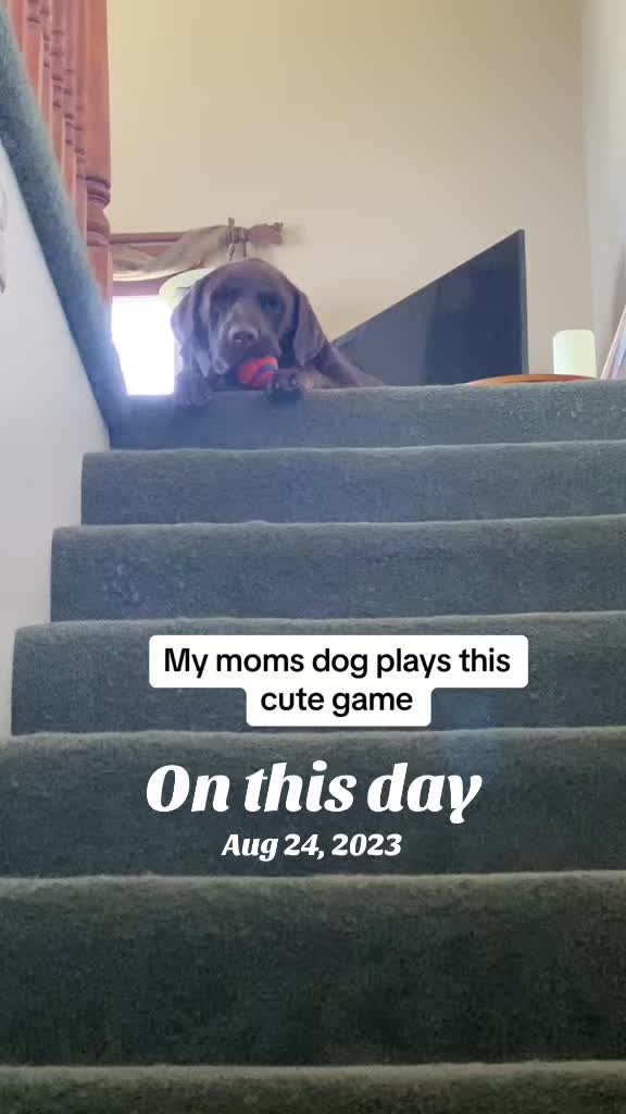 @b7ackm00n