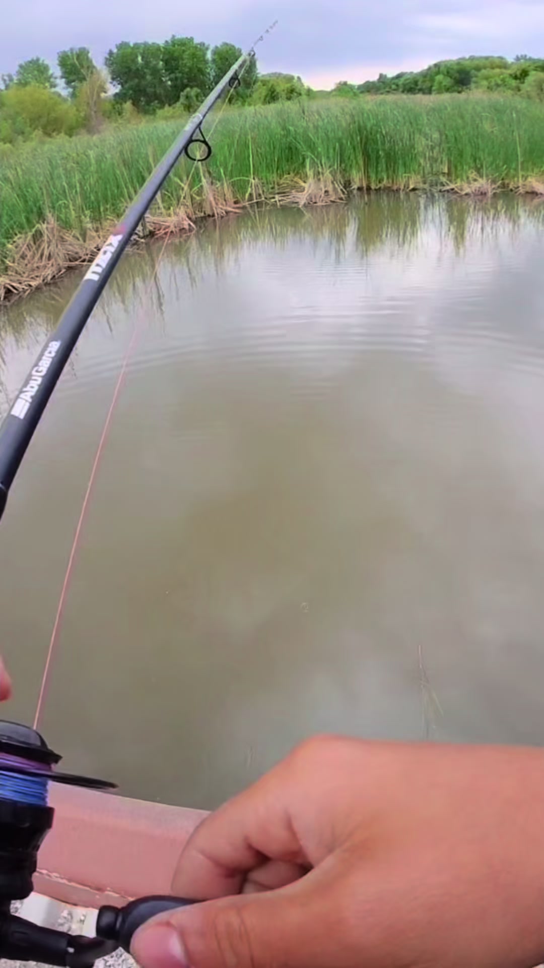 @chance2fish