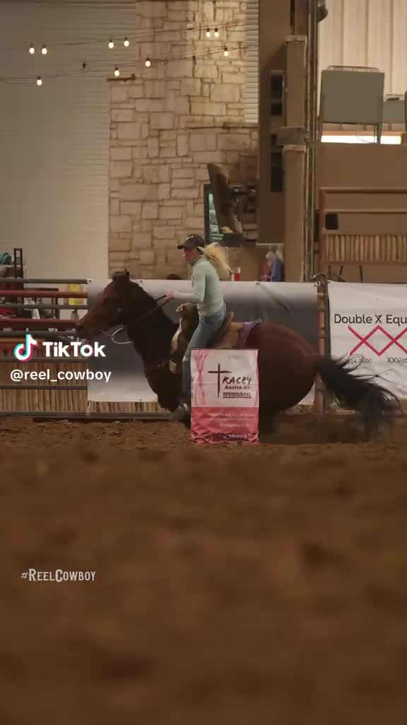 @5 Star Equine