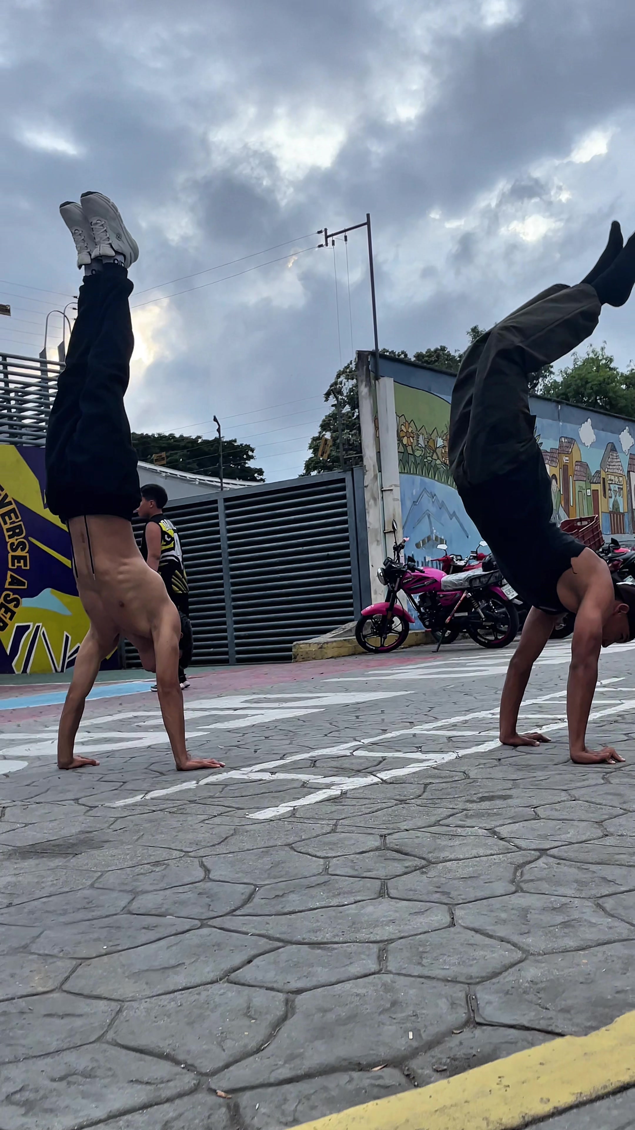 @ciclón-fit♤🐰