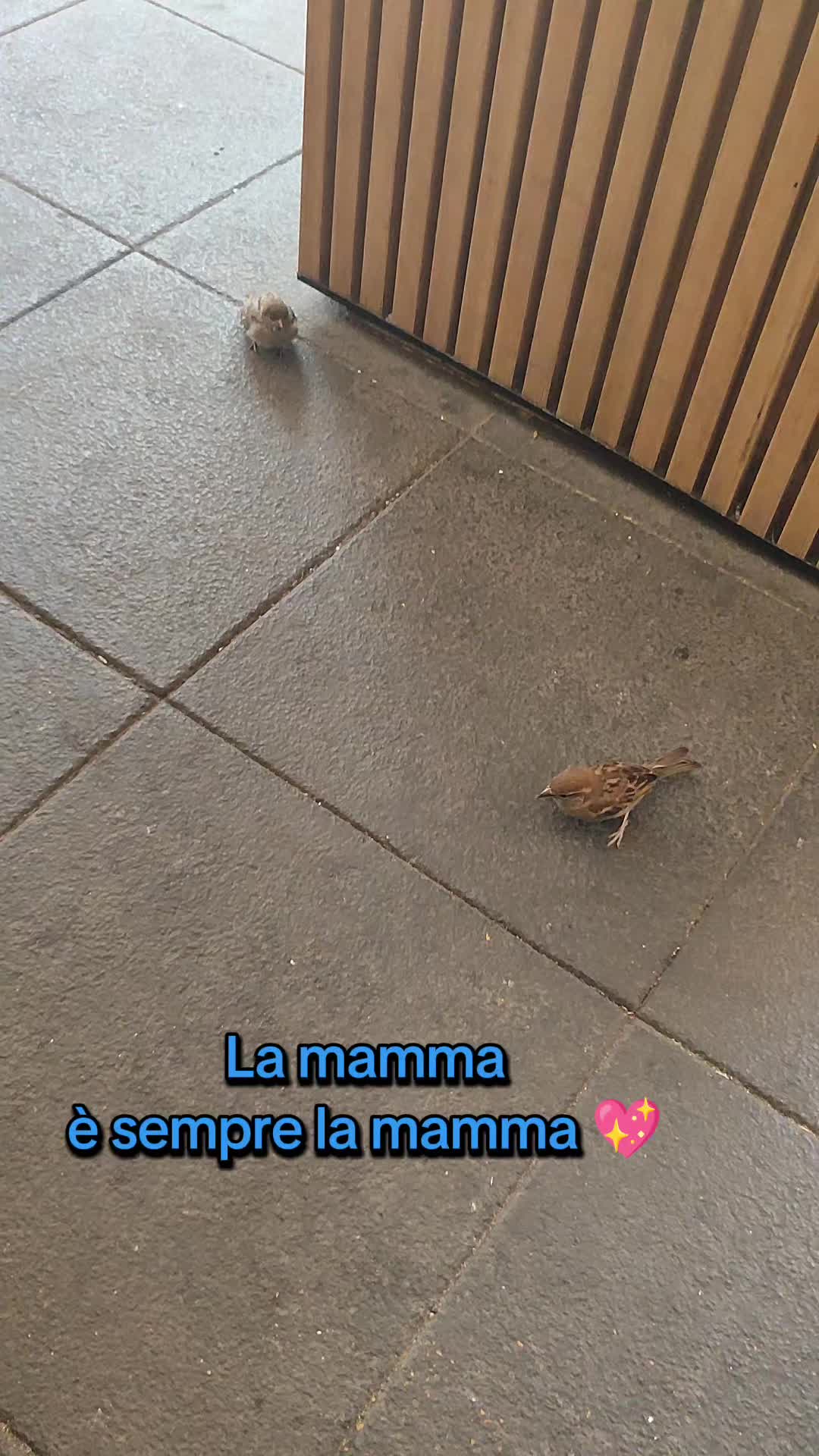 @Max