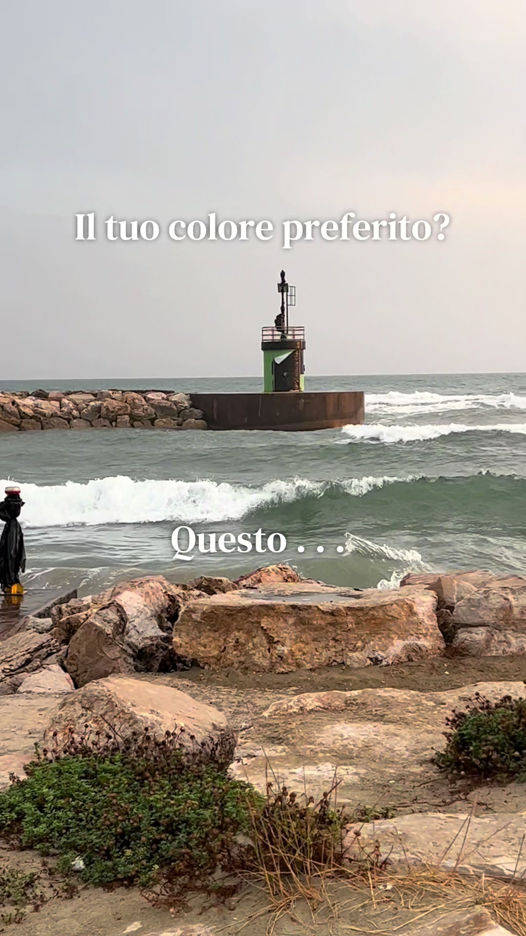 @Emanuela Cutone