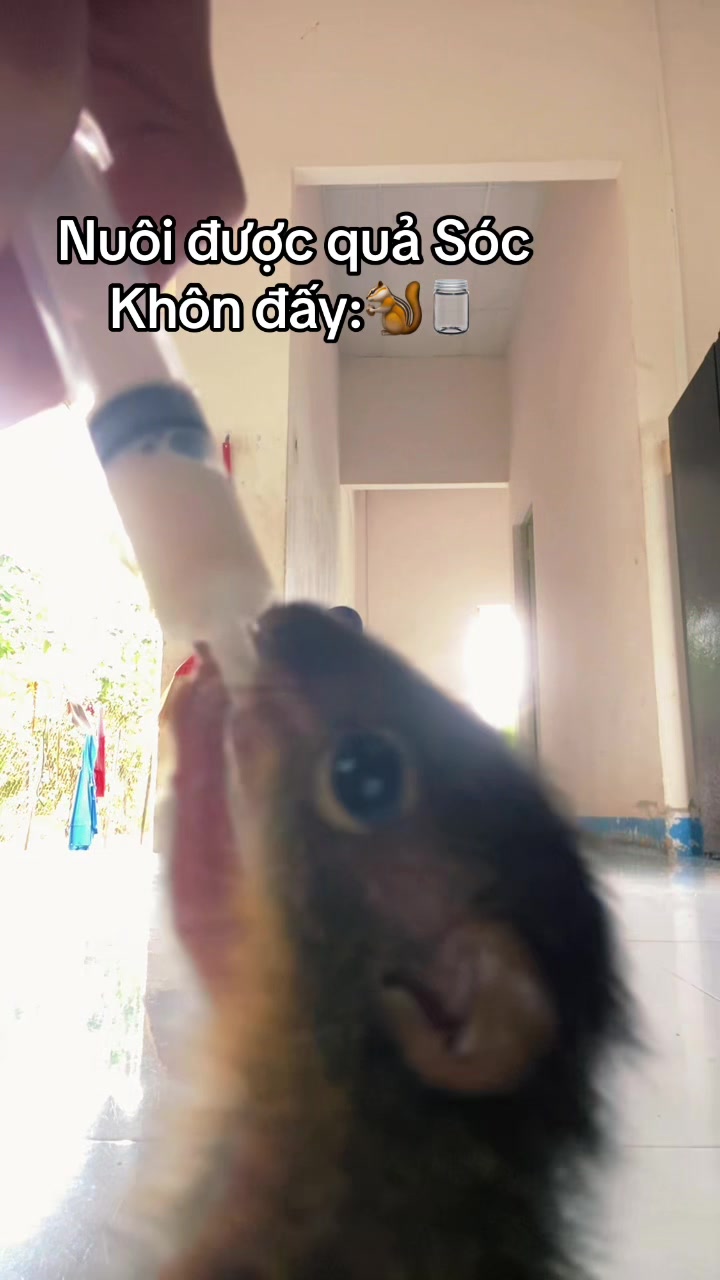 @dangvothanhgiau