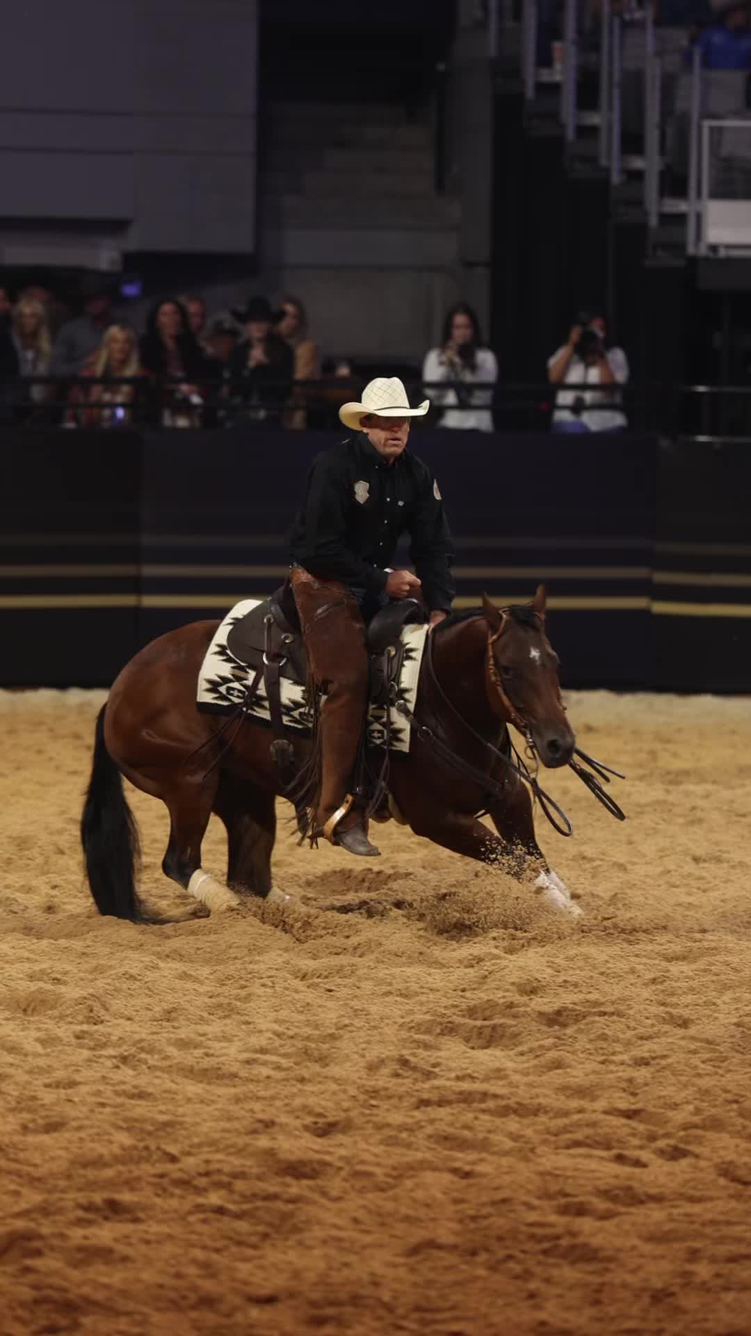 @American Performance Horseman