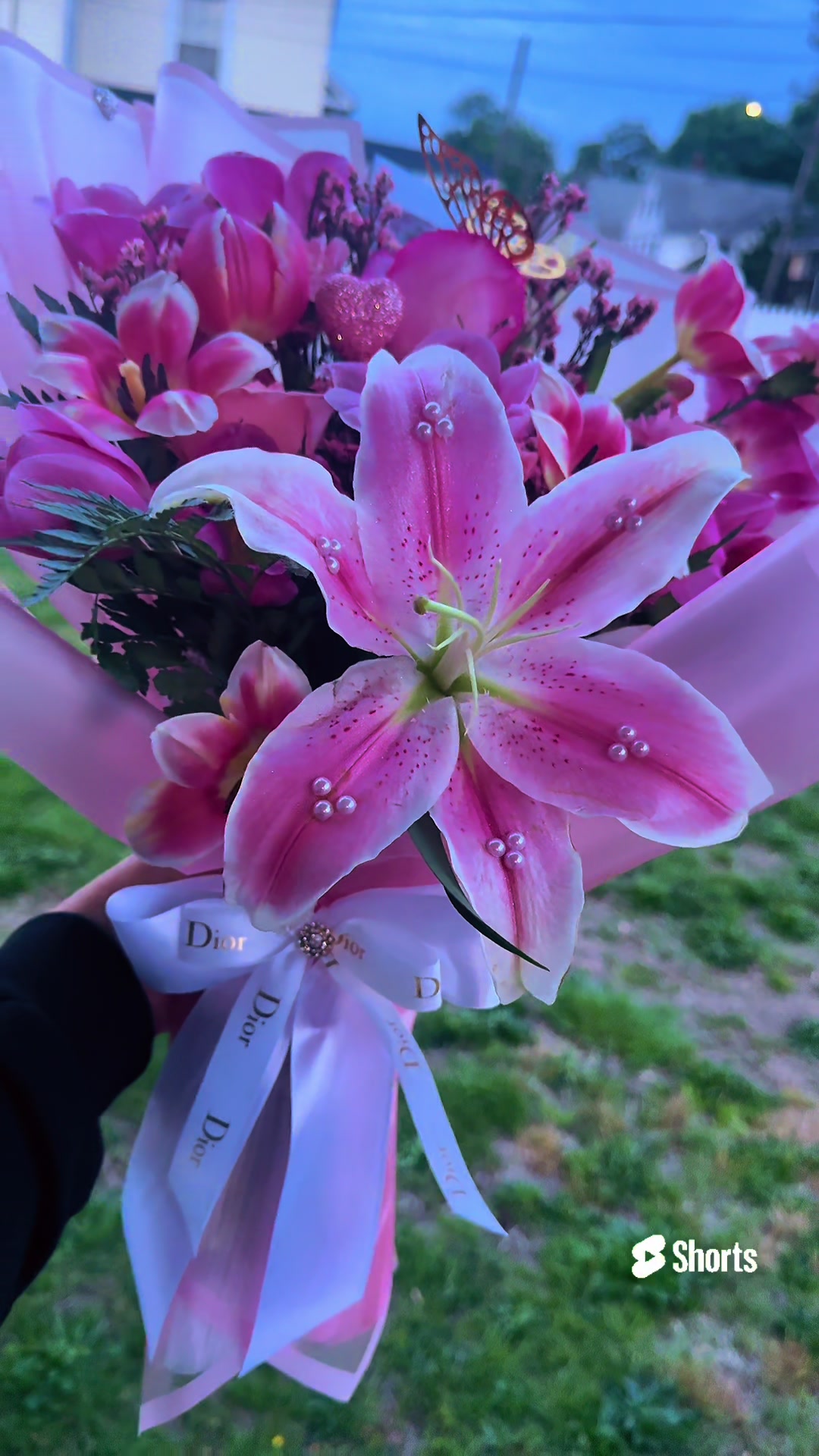 @🌺 Rose Mald77
