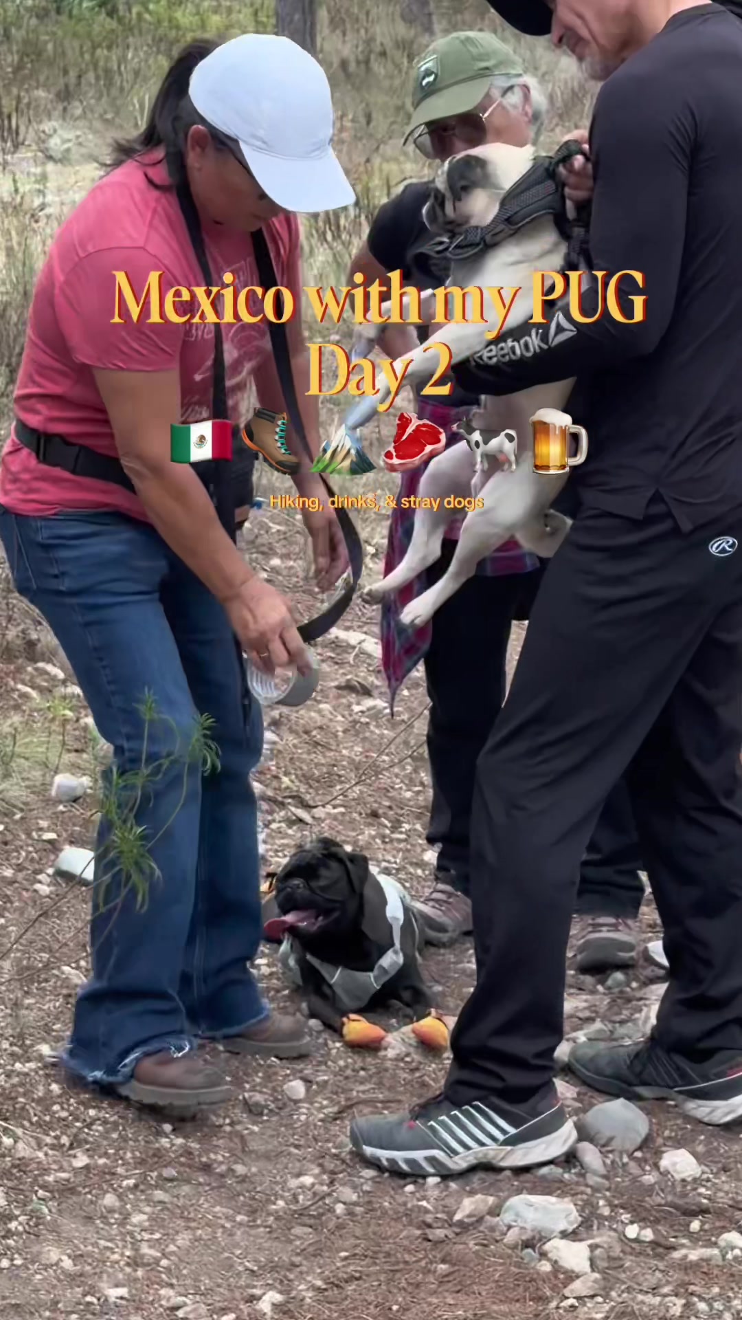 @papitheservicepug