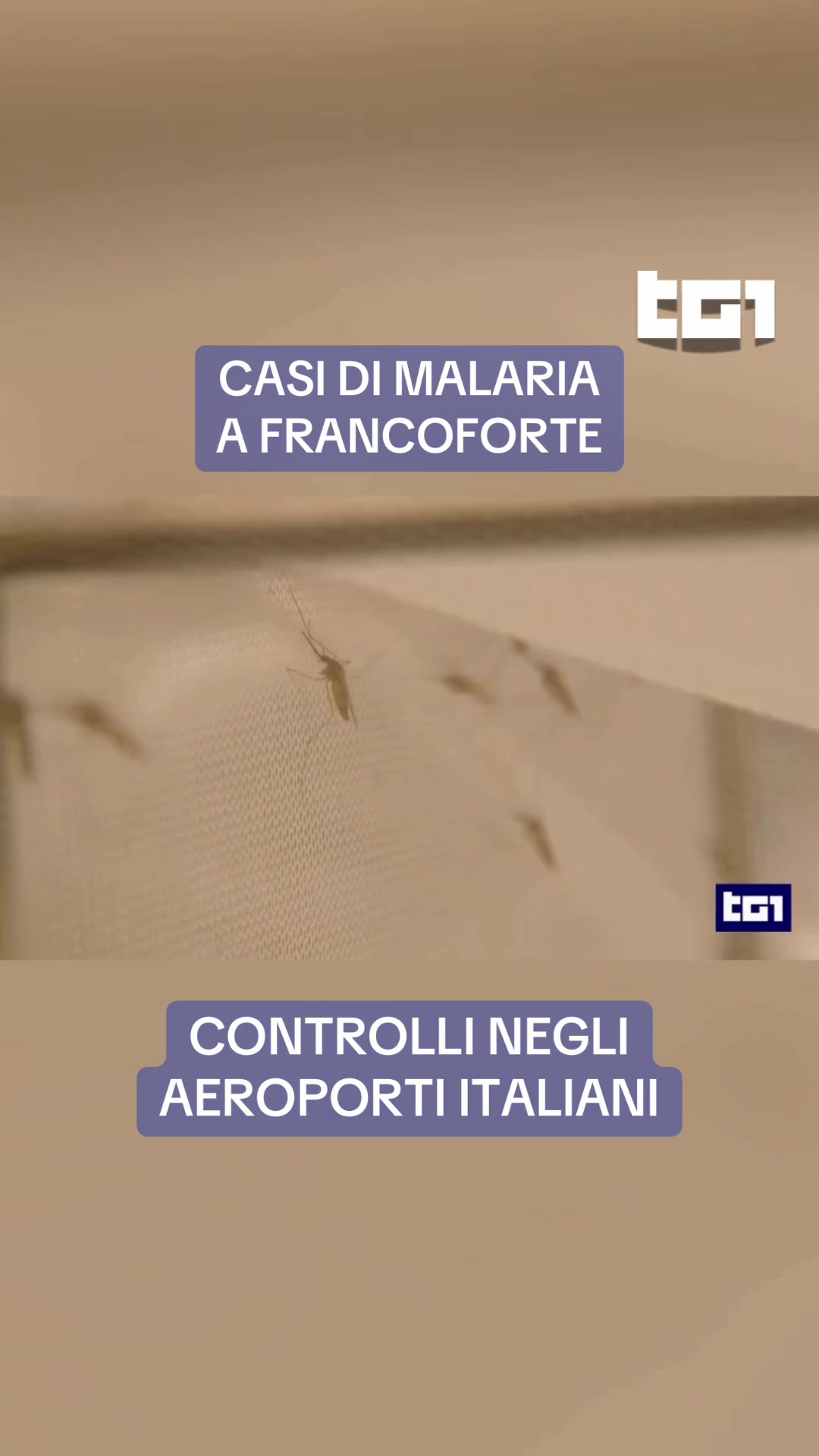 @Tg1Rai