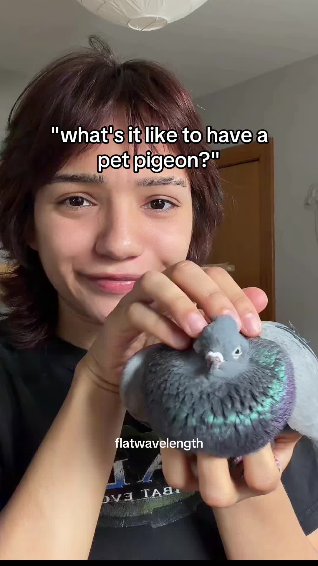 @flatwavelength