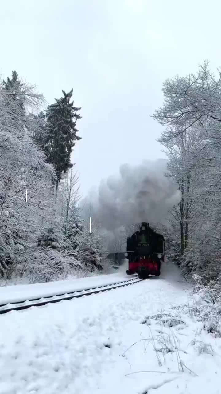 @❄️winter⛷️